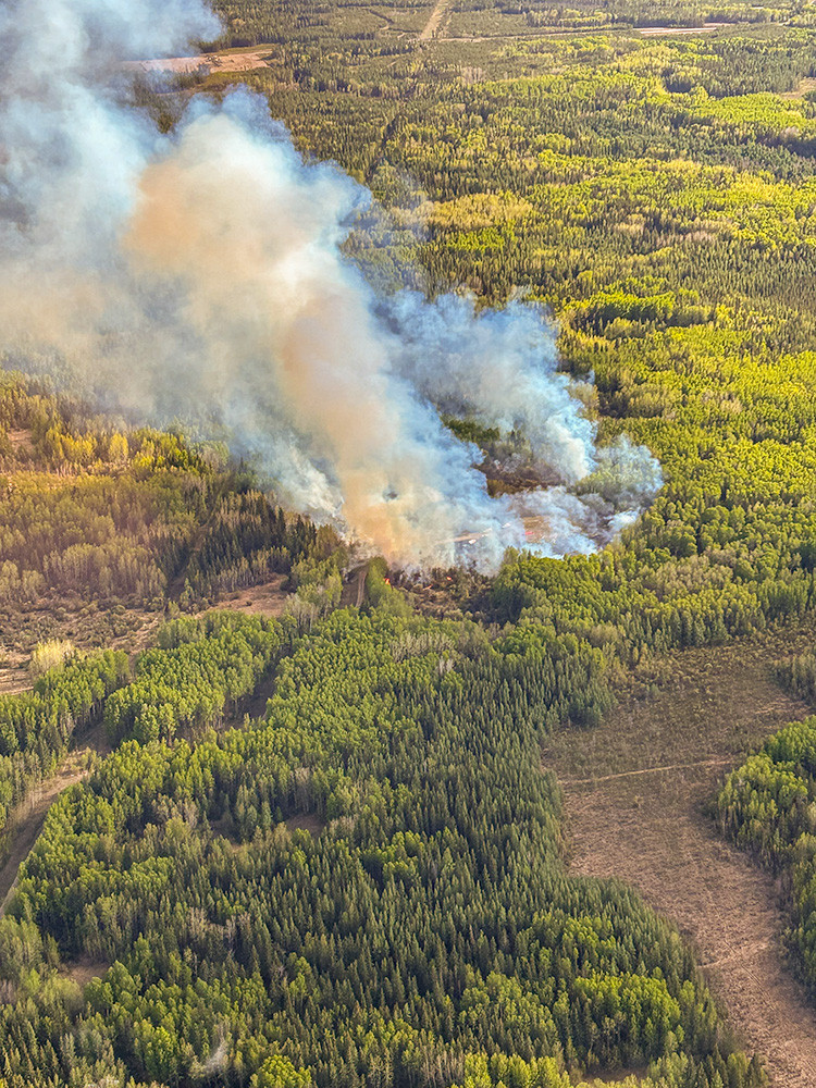 Aerial view of a forested landscape with a large plume of gray and tan smoke rising from an active wildfire, surrounded by dense green trees and cut lines, indicating fire activity spreading through the area.