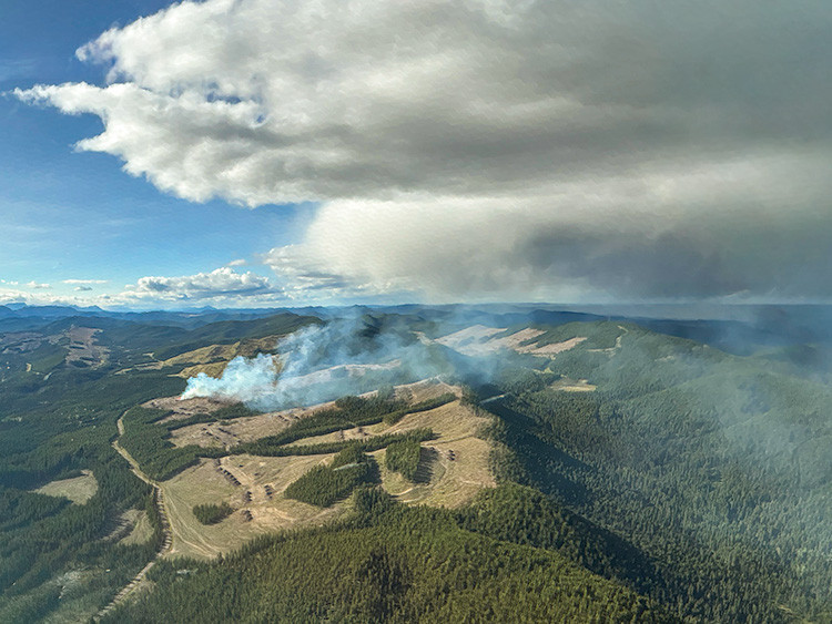 Aerial view of light smoke rising from a harvested forest landscape.  Winding roads stretch across rolling hills beneath a towering cloud casting shadows over the forest.