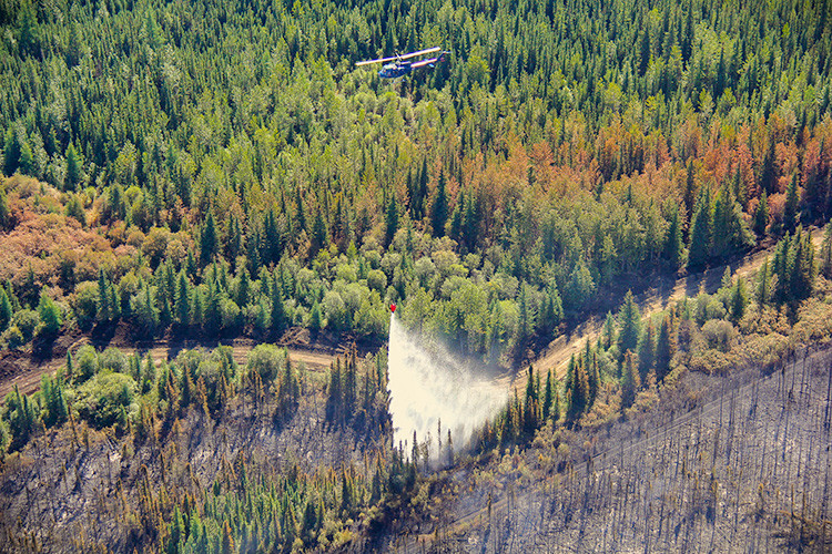Aerial view of a small wildfire burn area in a forest. An airtanker flies above while releasing a load of water or retardant onto the fire's edge, surrounded by dense green trees and blackened burned ground.
