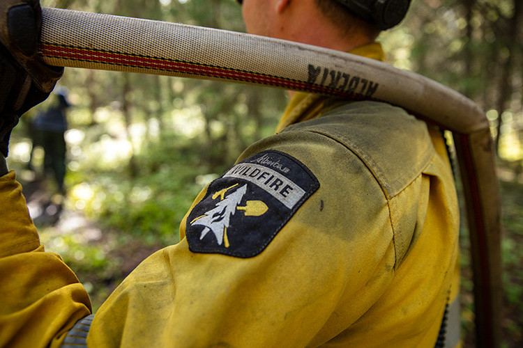 Close-up of a wildfire worker carrying a firefighting hose over one shoulder while walking through a forest. The Alberta Wildfire shoulder patch is visible on protective clothing, with trees and hose lines blurred in the background.