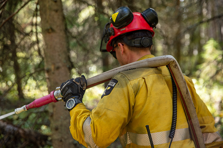 Wildfire worker in protective gear carries a hose nozzle over one shoulder while moving through a forest. Wearing a helmet, gloves, and safety glasses, the worker follows established hose lines among trees and low vegetation.