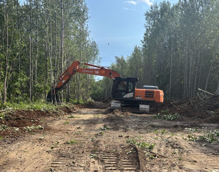 An excavator clearing a path through a forest on a sunny day, with trees on both sides and fresh dirt and branches on the ground.