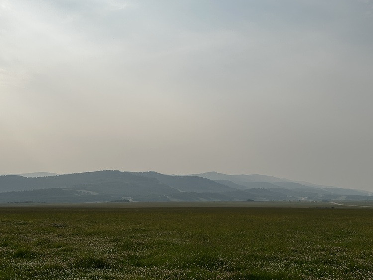 Smoke-hazed landscape with a broad green meadow in the foreground and layered hills in the distance. Reduced visibility softens the mountain outlines beneath a gray, smoke-filled sky.