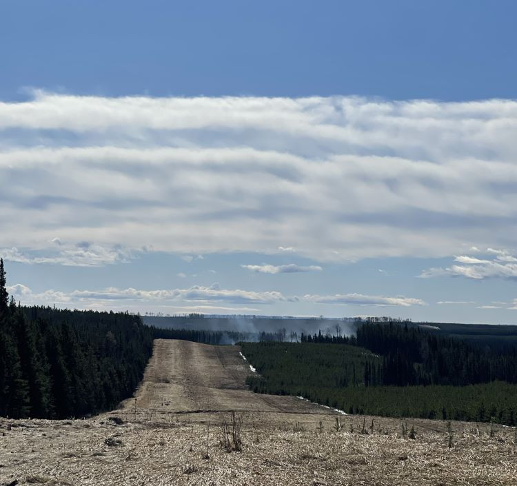 initial smoke conditions on the wildfire WWF008