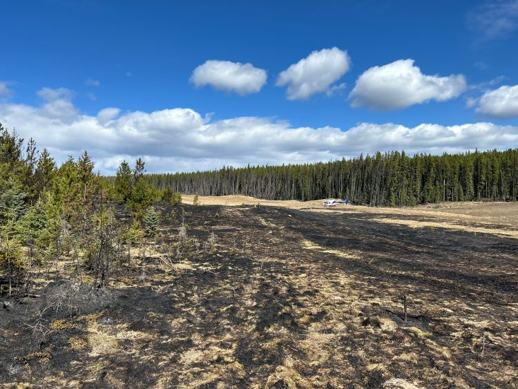 burnt vegetation with a helicopter in the background picking up the crew after a hard days work 