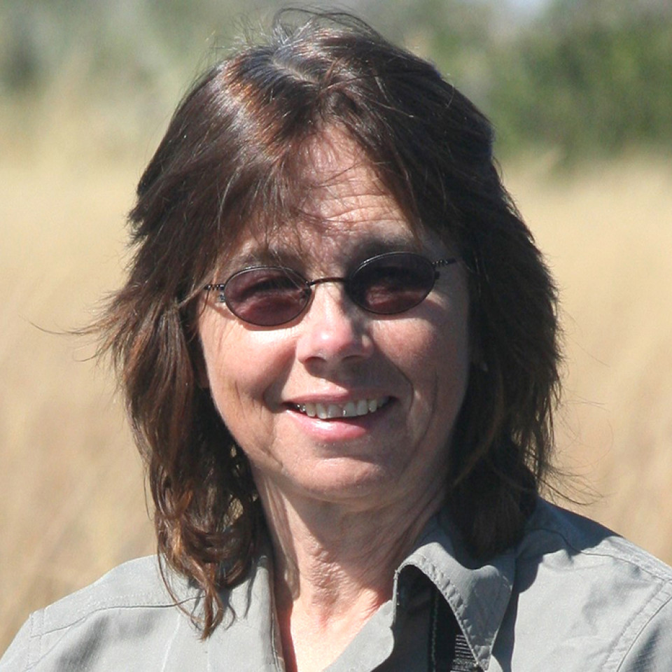 Head and shoulders portrait of Dr. Evelyn Merrill, Ph.D., a member of Alberta's Science Advisory Panel.